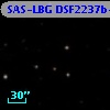 SAS-LBG DSF2237b-MD59