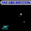 SAS-LBG DSF2237b-MD60