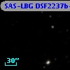 SAS-LBG DSF2237b-MD75