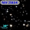 NSV 25614