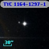 TYC 1164-1297-1