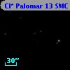 Cl* Palomar   13    SMC     101