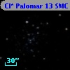 Cl* Palomar   13    SMC     339