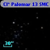 Cl* Palomar   13    SMC     739