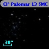 Cl* Palomar   13    SMC    1333
