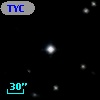 TYC 1172-295-1