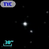 TYC 1175-1613-1