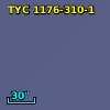 TYC 1176-310-1