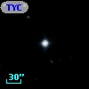TYC 1177-1556-1