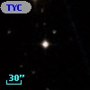 TYC  597-52-1