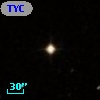 TYC  597-242-1