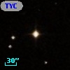 TYC  597-275-1
