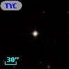 TYC  597-960-1