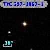 TYC  597-1067-1