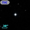 TYC  598-445-1
