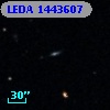 LEDA 1443607