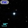 TYC  599-113-1
