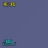 IC   31
