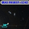 IRAS F01037+1242