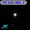 TYC  615-603-1