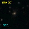 Shk  37