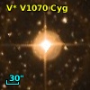 V* V1070 Cyg