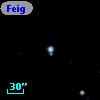 Feige  12