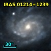 IRAS 01214+1239