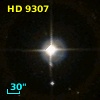 HD   9307
