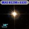 IRAS 01298+1137