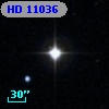 HD  11036