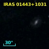 IRAS 01443+1031