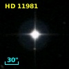 HD  11981