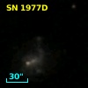 SN 1977D