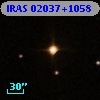 IRAS 02037+1058