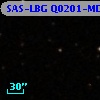 SAS-LBG Q0201-MD31