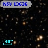 NSV 13636