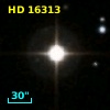 HD  16313