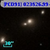 [PCD91] 023826.99+083121.9