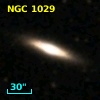 NGC  1029