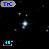 TYC 1113-1904-1