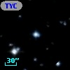TYC 1113-1931-1