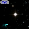 TYC 1113-2088-1