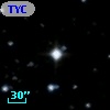 TYC 1113-2193-1