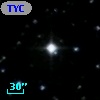 TYC 1113-2384-1