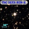 TYC 3173-929-1
