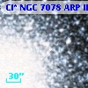 Cl* NGC 7078    ARP   II-31