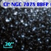 Cl* NGC 7078   BBFP     613