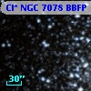 Cl* NGC 7078   BBFP     198