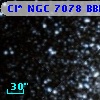 Cl* NGC 7078   BBFP     185